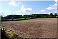 ST2503 : Fields near Rakehill Farm by Nigel Mykura