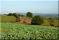 SO8179 : Farmland west of Fairfield, Worcestershire by Roger  D Kidd