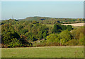 Pasture and woodland near Fairfield, Worcestershire