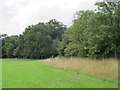 The former course of the New River in Arnos Park (2)