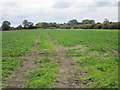 View towards Wellingley Grange