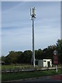 Communications mast beside Newton Road