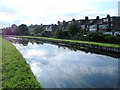 The New River by Hamilton Crescent, N13 (2)