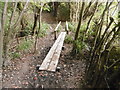 Footbridge in Cuckfield Park