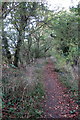 Footpath towards Field Farm