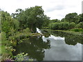 The River Avon at Binton