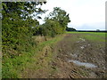 Farmland west of Stanfield, Norfolk