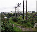 Path through Quarry Road Allotments, Ryde