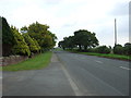 A6 near Springfield Farm