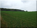 Farmland towards Greatbarrock Wood