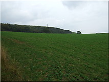 NY4647 : Farmland towards Greatbarrock Wood by JThomas