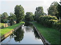 The New River south of Hedge Lane, N13 (2)