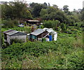 Southern edge of Quarry Road Allotments, Ryde