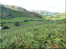 NY4318 : Abandoned field above Martindale Old Church by Christine Johnstone