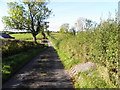 Shadows along Baronagh Road