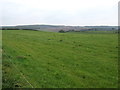 Grazing near Pears Gyhll Farm