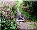 Improvised small bridge over a brooklet, Ryde