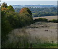 SK8200 : Rutland countryside north of Wardley by Mat Fascione