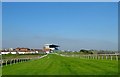 Pulling Up Area, Brighton Racecourse