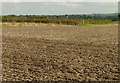 Field footpath