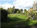 Footpath off Norwich Road