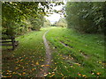 Footpath - Marchup Ghyll Nature Reserve - off Silsden Road