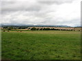 Farmland at Mains of Cultmalundie