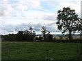 Fields north of Methven