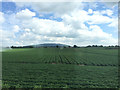 SJ5912 : Potato field south of the railway near Walcot by Robin Stott