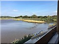 SD4773 : Allen Pool, Leighton Moss by Jonathan Hutchins