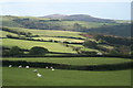 Fields above Killington