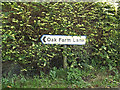TM1164 : Oak Farm Lane sign by Geographer