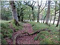 Llwybr Bryn Teg Path