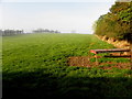 Lisfearty Townland