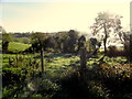 Rough ground, Mullaghnese