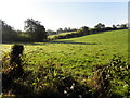 Cranslough Townland