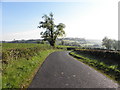 Farriter Road, Mullyroddan