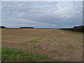 Lincolnshire farmland