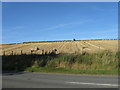 Straw bales and stubble