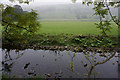 Bishopdale Beck