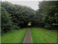 Path through the Goody Patchy, Tweedmouth