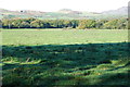  : Cae ger Wern Fawr - Field near Wern Fawr by Alan Fryer