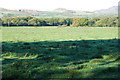 Cae ger Wern Fawr - Field near Wern Fawr