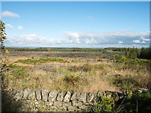 NZ0056 : Clear-felled area of Low Kellas Plantation by Trevor Littlewood