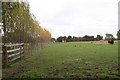 Cattle in a field off Church Side, Goxhill South End