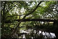 NR9195 : Old footbridge over River Add by Richard Caulfield