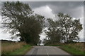 TA1118 : Willows by the road from Thornton Abbey to Ulceby Skitter by Chris