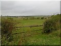 Farmland, Oldhall