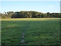 Footpath across the fields from Angrouse to Mullion