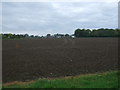 Field near Lode